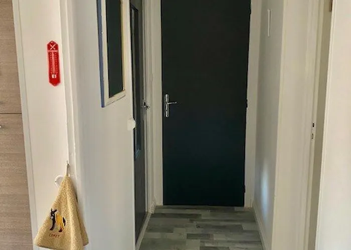 Apartamento F2 Rénové Centre-ville Amélie-les-bains - Fr-1-703-192 *
